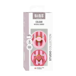 BIBS Colour Fopspenen - 2 Stuks - Size 1 - Mushroom/Breeze