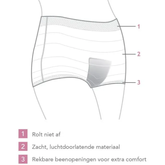 Carriwell Post Partum Netbroekjes 4st.
