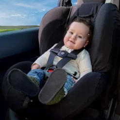 Dooky Seatbelt Safety Clip