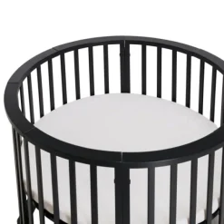 Europe Baby Box Circa III Chestnut
