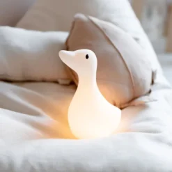 Flow Amsterdam Liva Light