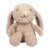 Flow Amsterdam Night Light Plush Milo
