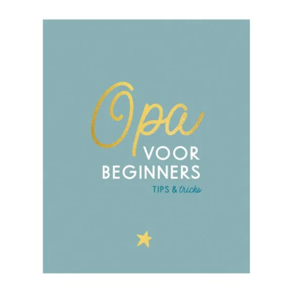 Lantaarn Opa Voor Beginners