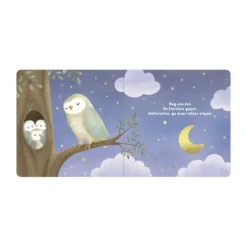Little Dutch Boekje - Welterusten Kleintje