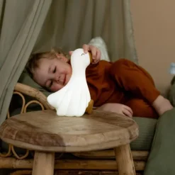 Little Dutch Nachtlampje Little Goose 