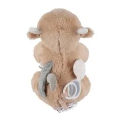 Noukie's F&O Activiteiten Knuffel